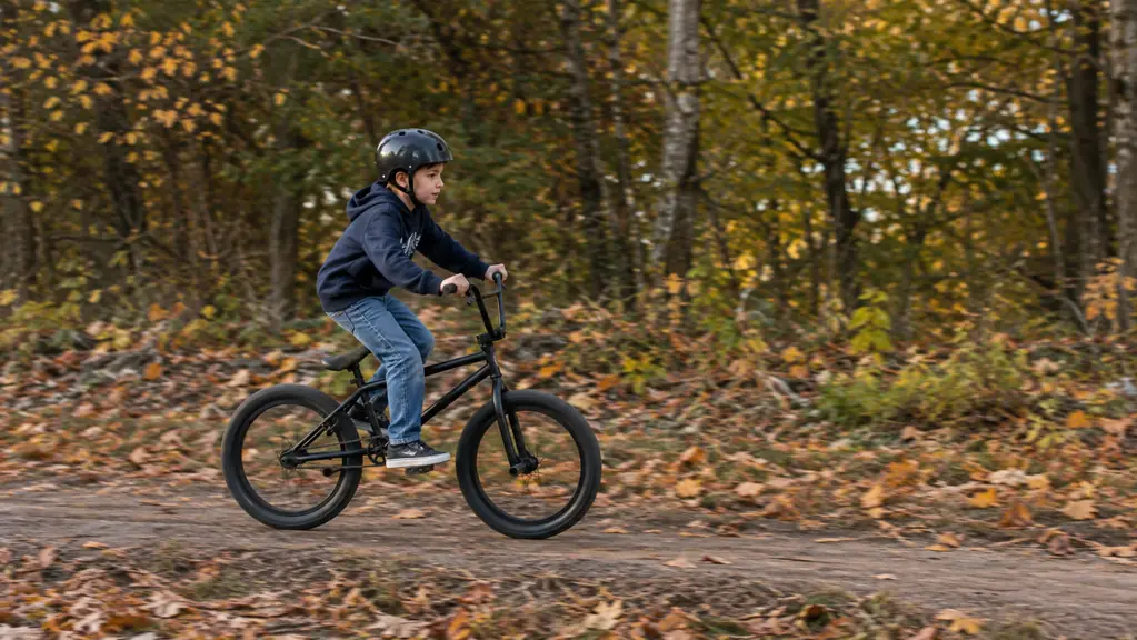 Joystar Brockway BMX Review: A Season of Trail and Driveway Riding